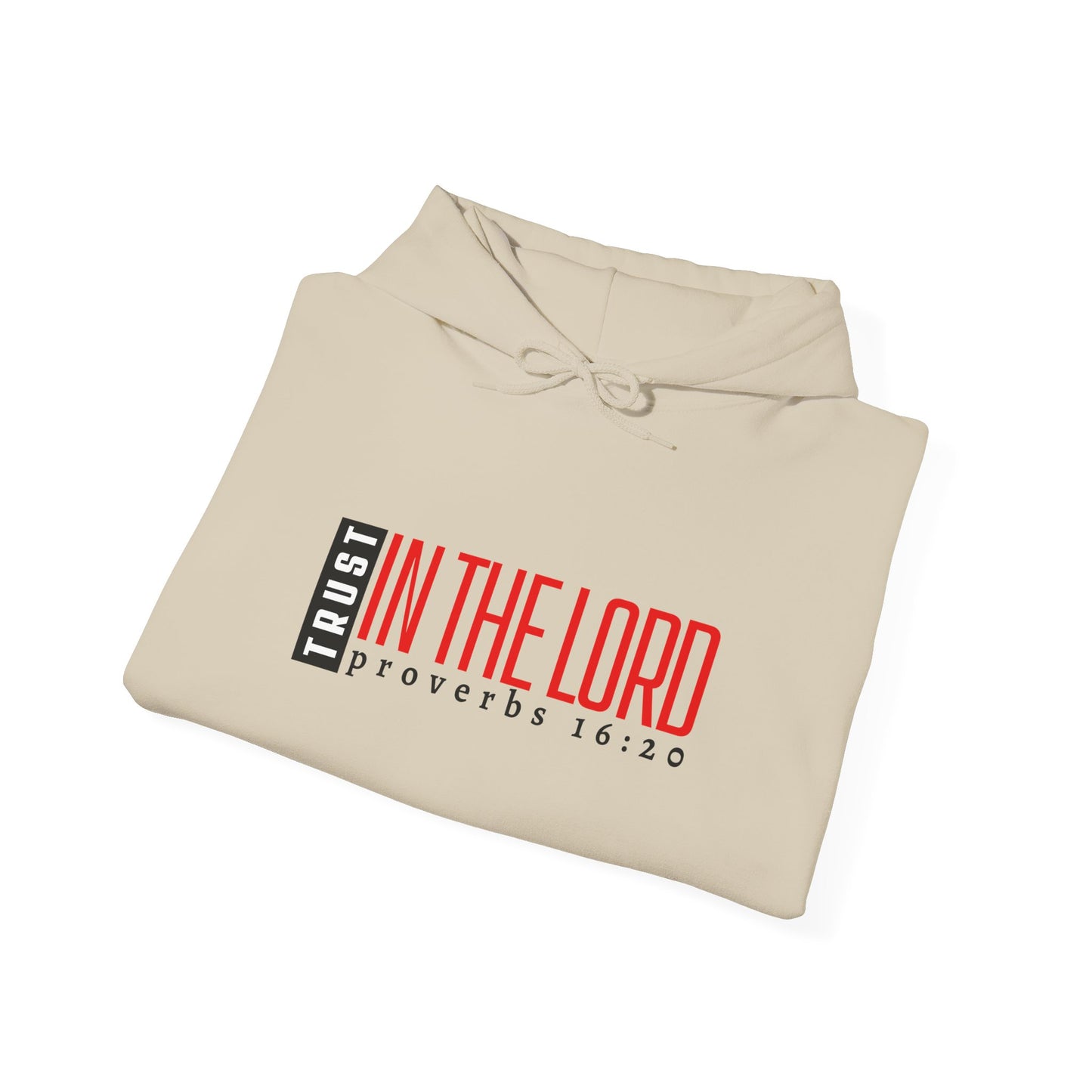 Trust in the Lord Hoodie