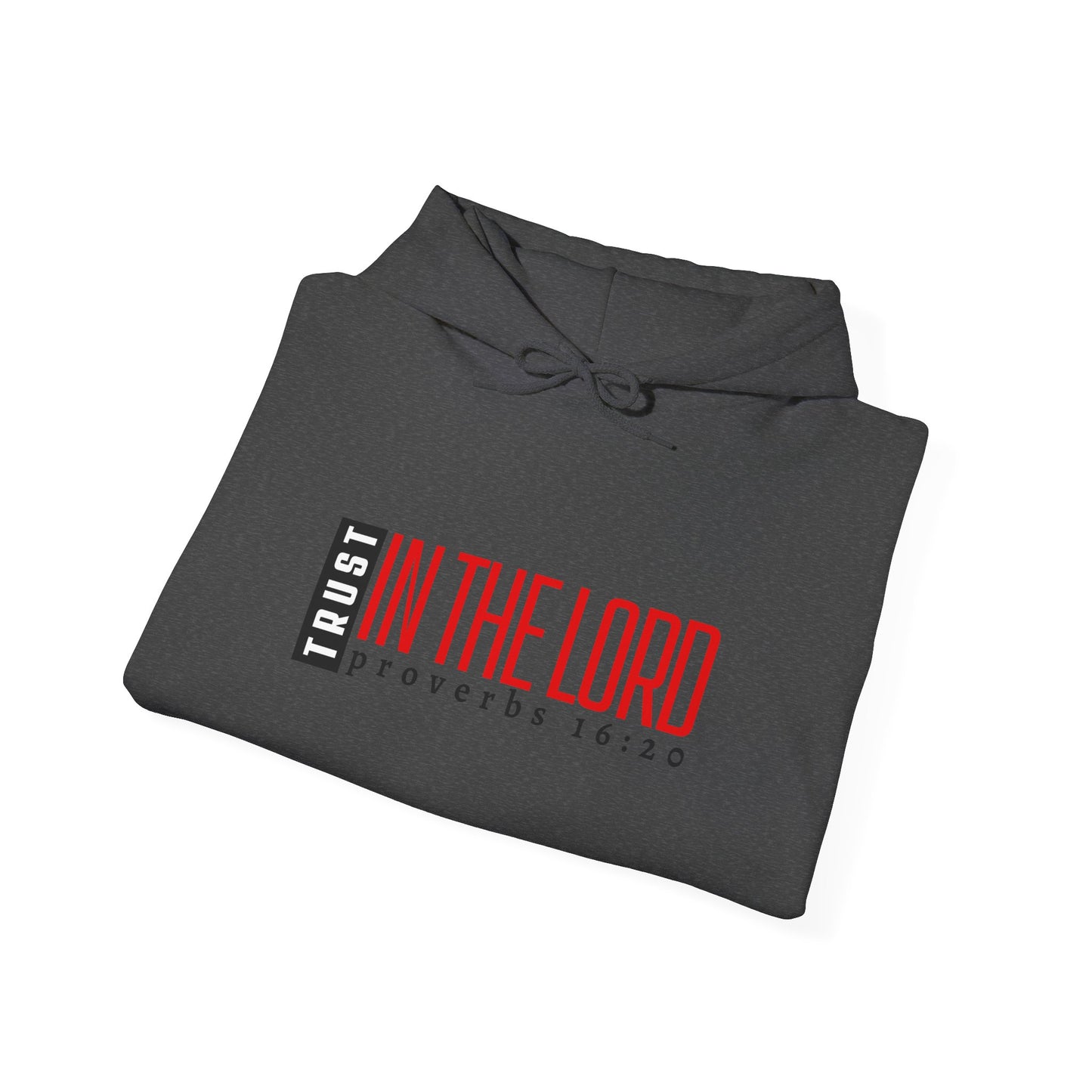 Trust in the Lord Hoodie