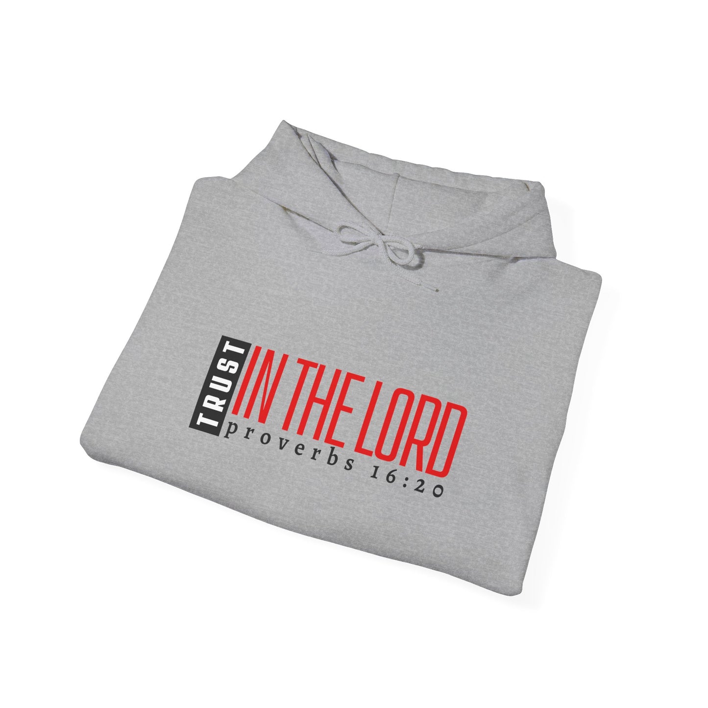 Trust in the Lord Hoodie